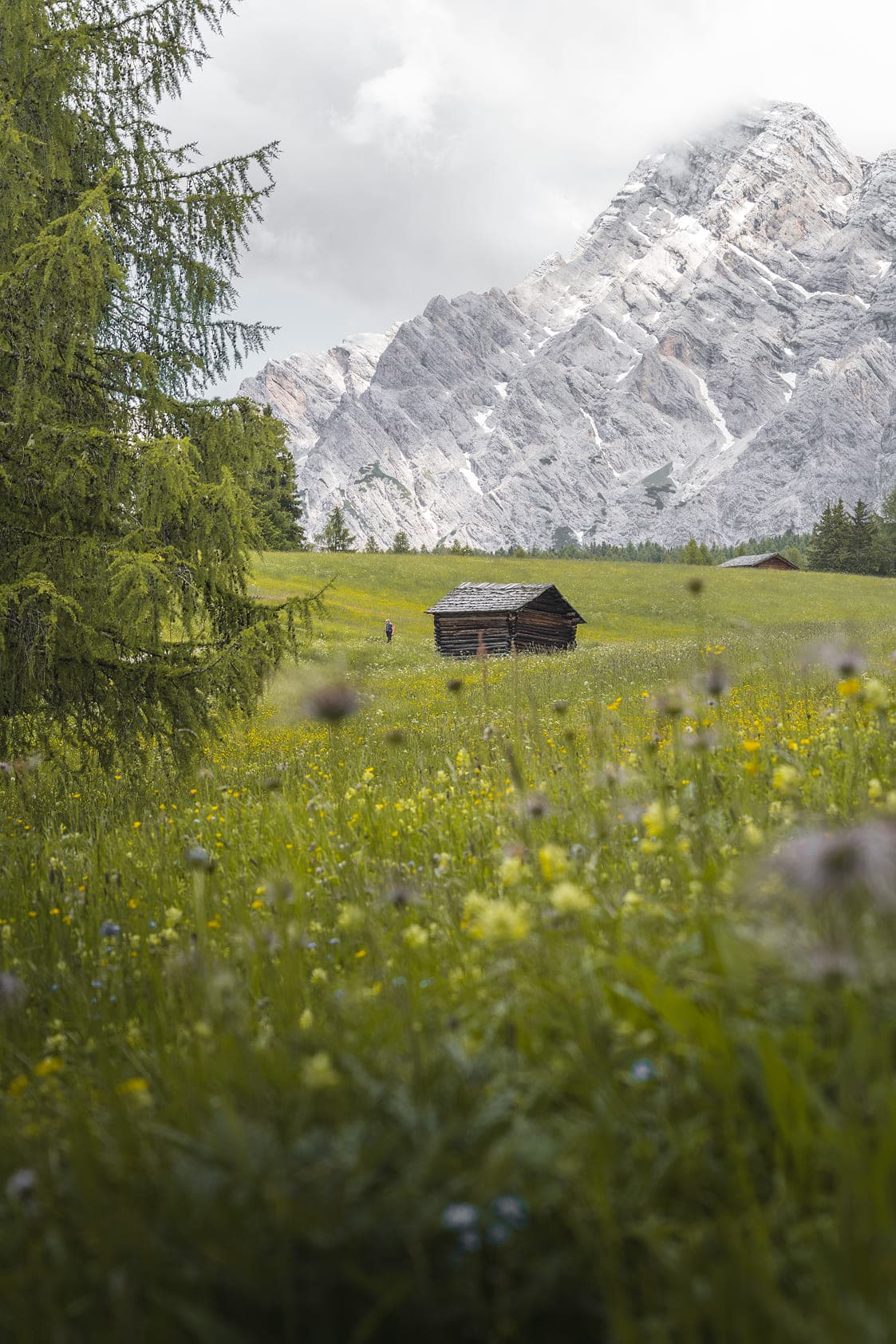 Frühling in den Dolomiten