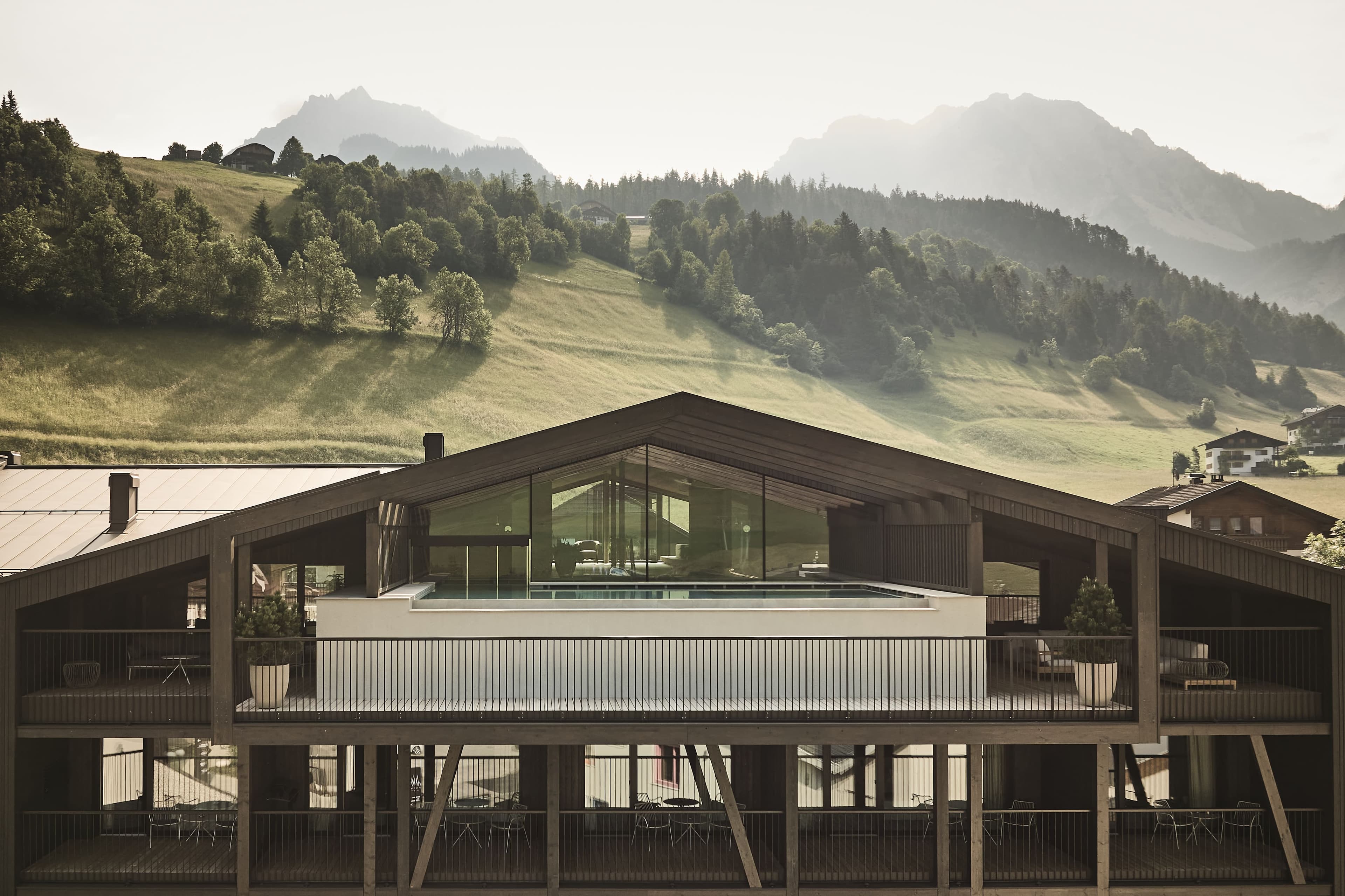 Spring crocuses in Val Badia